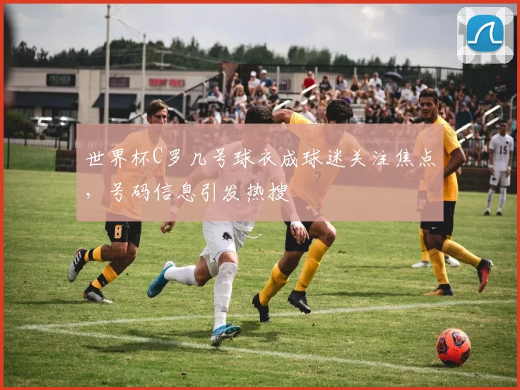 世界杯C罗几号球衣成球迷关注焦点,号码信息引发热搜